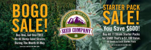 Feminized Hemp Seed For Sale Colorado - Buy Hemp Seed for Growing